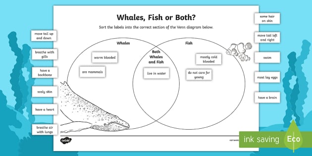 Whales and Fish Venn Diagram Worksheet / Worksheet - Twinkl