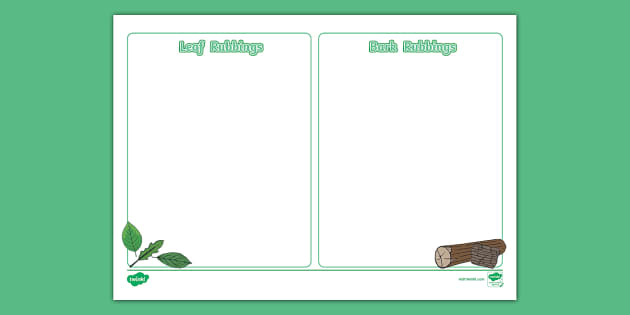 Bark and Leaf Rubbing Activity Sheet | Twinkl (teacher made)