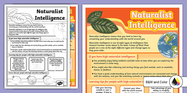 Naturalist Intelligence Poster (Teacher-Made) - Twinkl