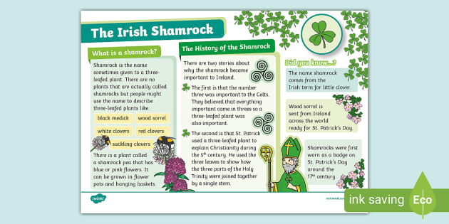 The Irish Shamrock - National Flower Fact File - Twinkl