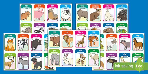 40 Animal Flash Cards in Hindi /English (Teacher-Made)