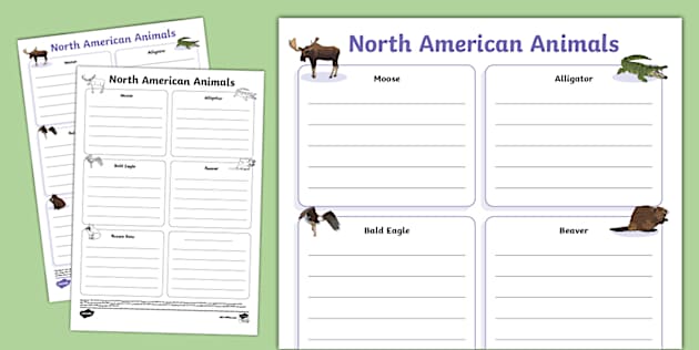 North American Animals Fact File Template, North America
