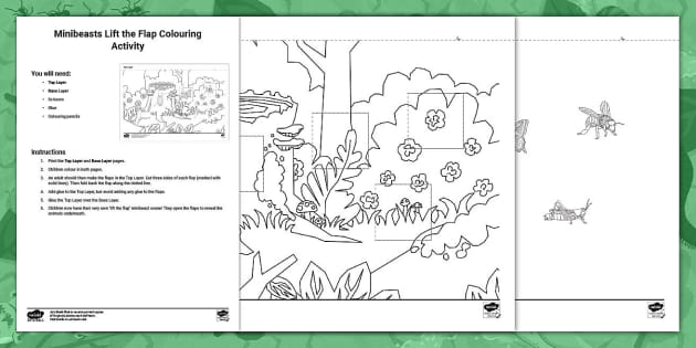 Minibeasts Lift the Flap Colouring Activity (teacher made)