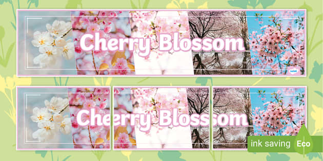 Cherry Blossom Photo Banner - Twinkl