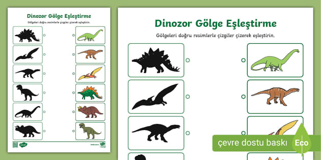 Dinozor Gölge Eşleştirme Etkinliği Teacher Made