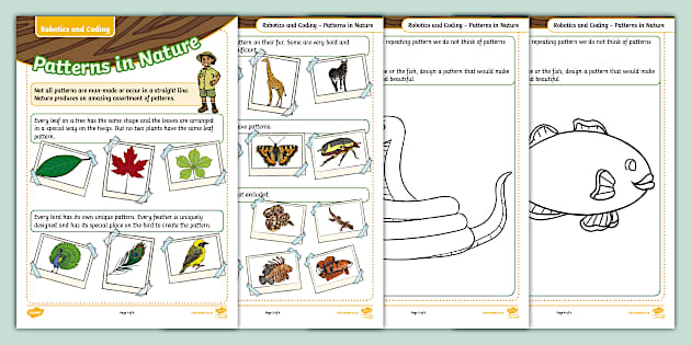 Robotics and Coding Pattern Recognition - Patterns in Nature