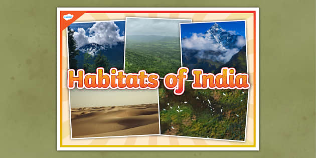 Habitats of India Photo Display Poster (teacher made)