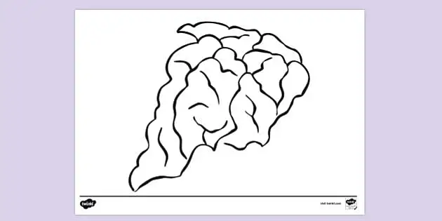 brain template printable