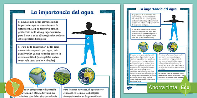 Ficha de información: La importancia del agua- Guía de trabajo