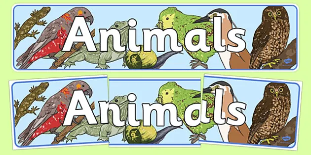Animals Display Banner New Zealand (teacher made) - Twinkl
