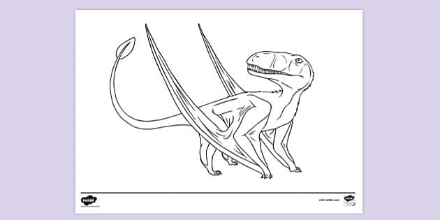 FREE! - Dimorphodon Colouring Sheet (teacher made) - Twinkl