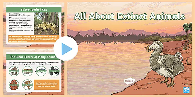 LKS2 All About Extinct Animals PowerPoint (teacher made)