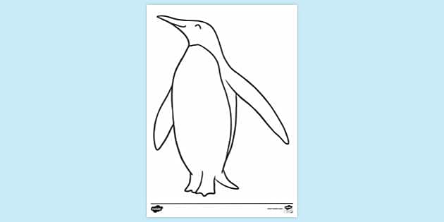Portrait of penguin Free Clipart Download | FreeImages