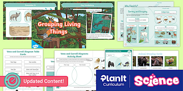 Y4 Living Things & Their Habitats Grouping Organisms Lesson Pack