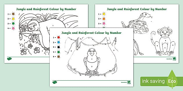 👉 EYFS Jungle and Rainforest Colour by Number - Twinkl