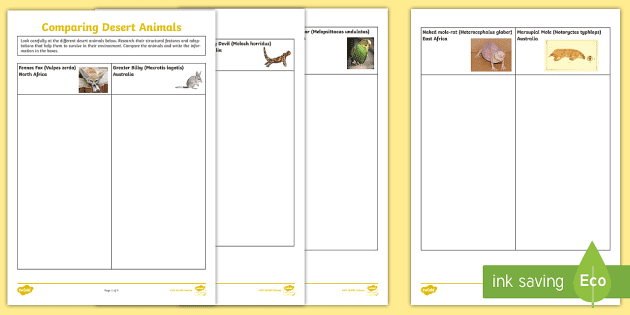 Comparing Desert Animals Worksheet (teacher made) - Twinkl