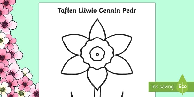 Download Daffodil Colouring Sheet Welsh (teacher made)