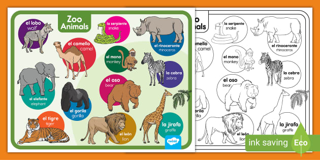 Zoo Animals in English/Spanish Poster (teacher made)