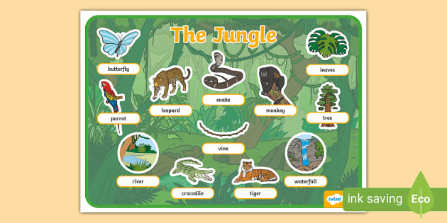 Jungle Animals Word Cards (Teacher-Made) - Twinkl