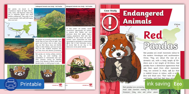 Red Pandas Case Study Reading Comprehension Twinkl Sa Red Pandas Case Study Reading Comprehension Twinkl Sa