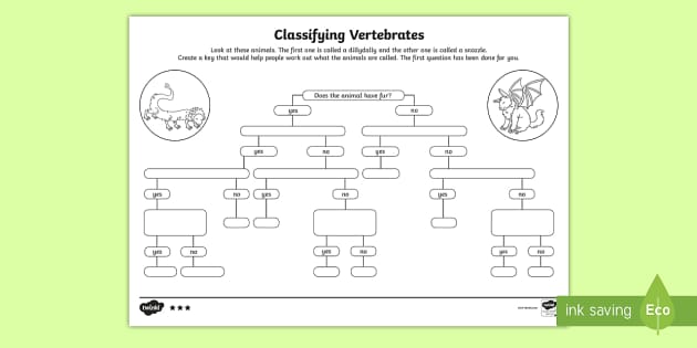 invertebrates classification worksheet
