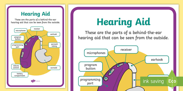 Hearing Aid Display Poster | Deaf Awareness Week - Twinkl