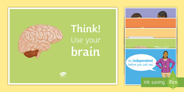 👉 Brain Book Board Buddy Poster Twinkl