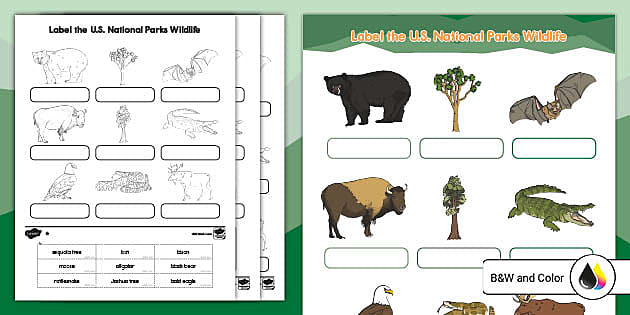 Wild Animals Worksheet, National Park Week