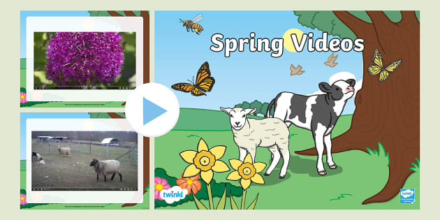 All About Spring For Kids PowerPoint - KS1 (teacher made)