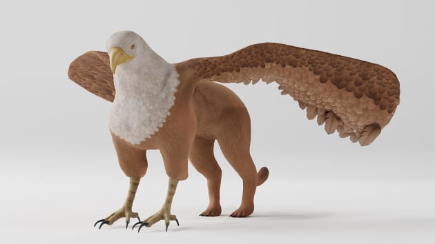 3D Griffin Model: Mythical Creatures in Augmented Reality