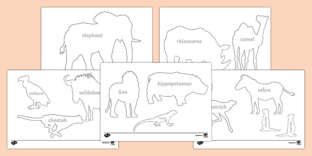 Safari Animal Templates | Primary Resources (teacher made)