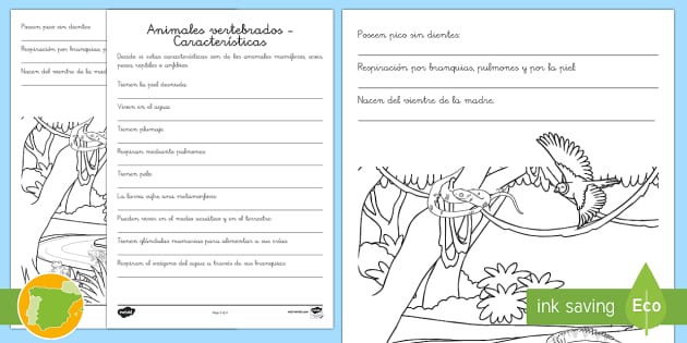 Animales Vertebrados: Características (teacher Made)