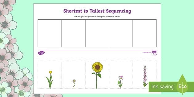 Shortest To Tallest Flower Sequencing Worksheet Worksheet