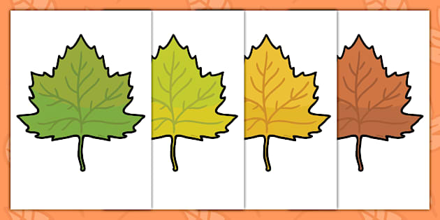 Herbstliche Blätter zum Ausschneiden - Vorlagen - Twinkl