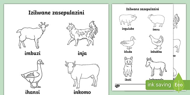 FREE! - Farm Animal Words Colouring Sheet - Zulu - Twinkl