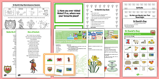 Care Home St David's Day Resource Pack (teacher made)