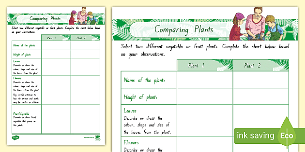 Comparing Size Worksheet (teacher made) - Twinkl