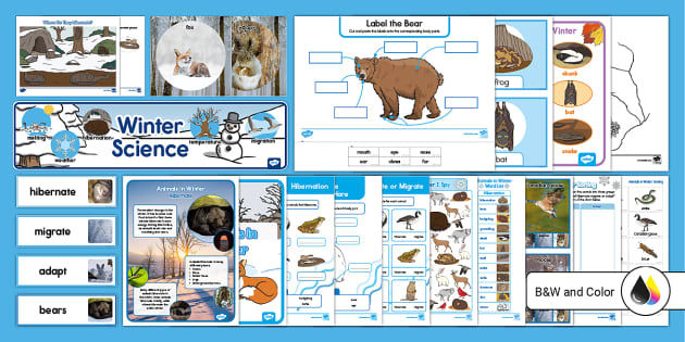 Animals in Winter - Science for Little Learners (preschool, pre-k, &  kinder) - Pocket of Preschool