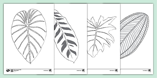 rainforest-leaves-template-ks1-teacher-made-twinkl