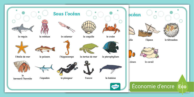 Les animaux aquatiques  Animal flashcards, French flashcards