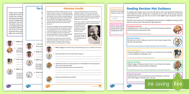 SATs Survival Year 6: Reading Revision Activity Mat Pack 5