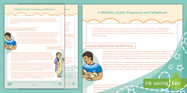 A Midwife’s Guide: Pregnancy And Fatherhood (teacher Made)