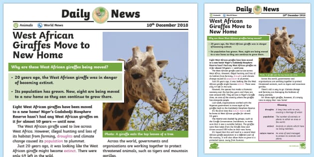 Giraffe News | Twinkl NewsRoom Resources (teacher made)