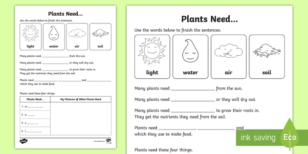 Plants Need Worksheet / Worksheet (teacher made)