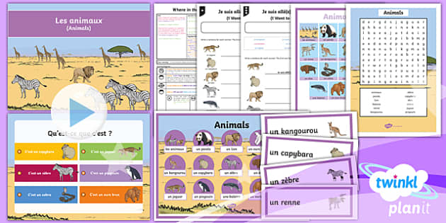 Zoo animals in French - Animals Lesson Pack - PlanIt