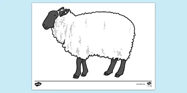 Sheep drawing, Animal outline, Animal drawings