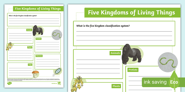 classification of living things 5 kingdoms