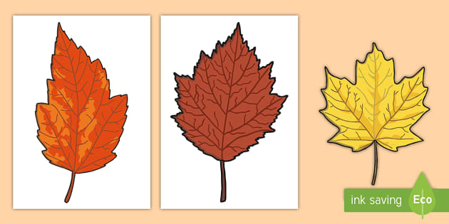 A4 Coloured Leaves Cut-Outs (Teacher-Made) - Twinkl