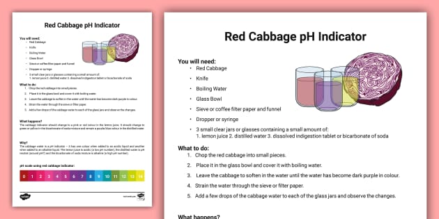 Ledelse Bløde Evaluering Red Cabbage Indicator Adult Guidance Sheet (teacher made)