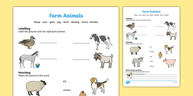 Farm Animals ESL Worksheet | ESL Farm Animals Vocabulary
